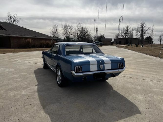 Unknown-Mustang-1966-Blue-Black-2