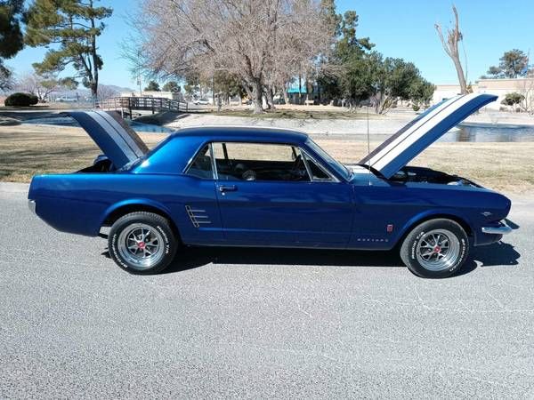 Unknown-Mustang-1966-Blue-Black-2