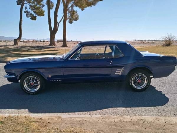 Unknown-Mustang-1966-Blue-Black-3