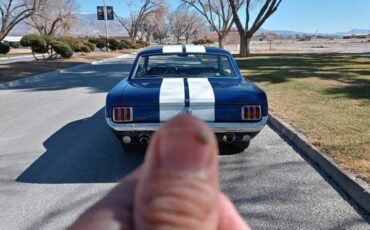 Unknown-Mustang-1966-Blue-Black