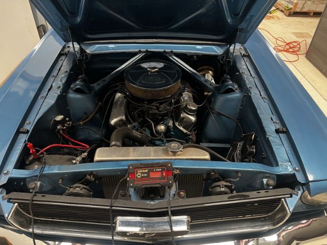 Unknown-Mustang-1966-Blue-Black-49