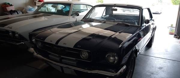 Unknown-Mustang-1966-Blue-Black-7