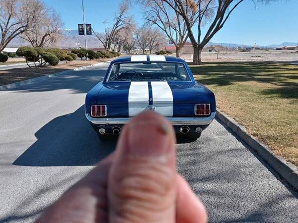 Unknown-Mustang-1966-Blue-Black