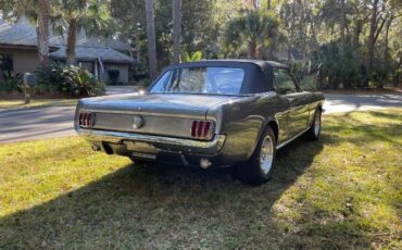 Unknown-Mustang-1966-Gray-15