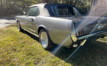 Unknown-Mustang-1966-Gray-16