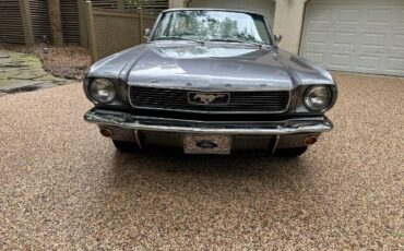 Unknown-Mustang-1966-Gray-5
