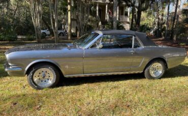 Unknown-Mustang-1966-Gray-7