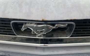 Unknown-Mustang-1966-Gray-Black-10