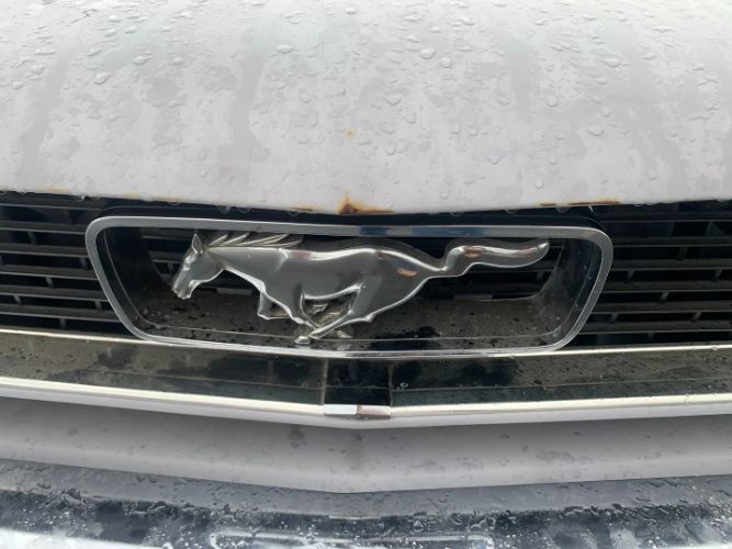 Unknown-Mustang-1966-Gray-Black-10