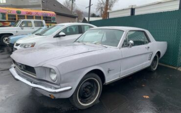Unknown-Mustang-1966-Gray-Black-15