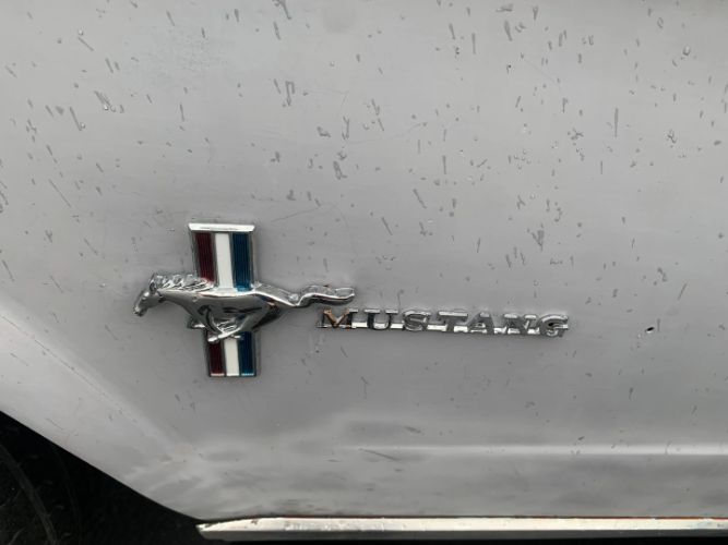 Unknown-Mustang-1966-Gray-Black-17
