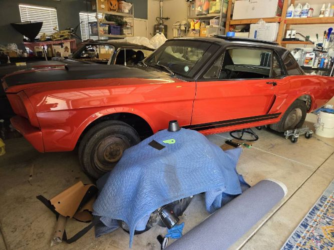 Unknown-Mustang-1966-Orange-16