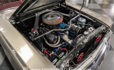Unknown-Mustang-1966-Pepper-Gray-Red-4