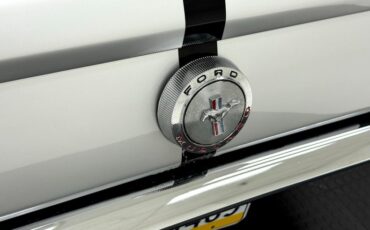 Unknown-Mustang-1966-Raven-Black-Black-25
