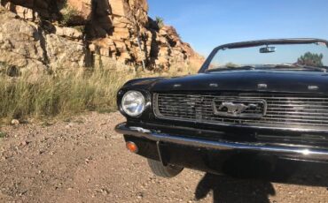 Unknown-Mustang-1966-Raven-Black-Dark-Red-3