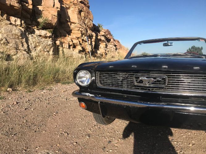 Unknown-Mustang-1966-Raven-Black-Dark-Red-3