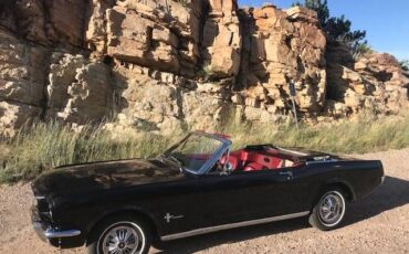 Unknown-Mustang-1966-Raven-Black-Dark-Red