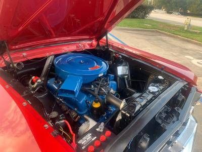 Unknown-Mustang-1966-Red-11
