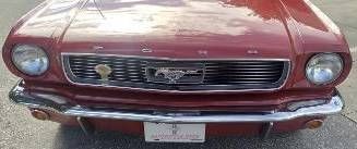 Unknown-Mustang-1966-Red-12