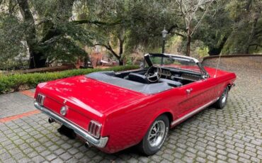 Unknown-Mustang-1966-Red-4