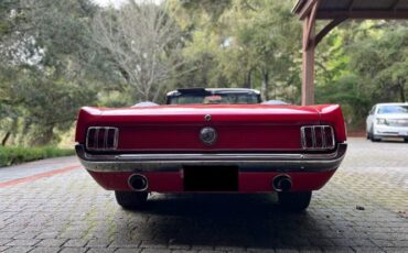 Unknown-Mustang-1966-Red-5