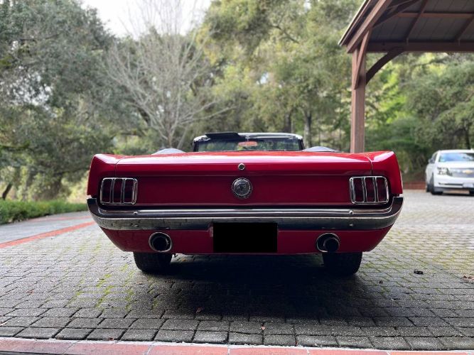 Unknown-Mustang-1966-Red-5
