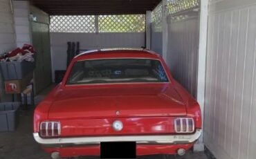 Unknown-Mustang-1966-Red-White-1