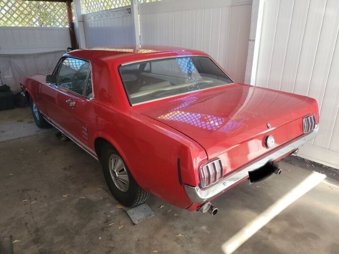 Unknown-Mustang-1966-Red-White-2