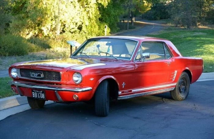Unknown-Mustang-1966-Red-White-4