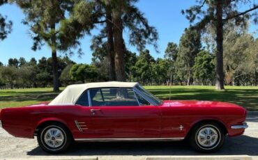 Unknown-Mustang-1966-Red-White-Top-Black-6