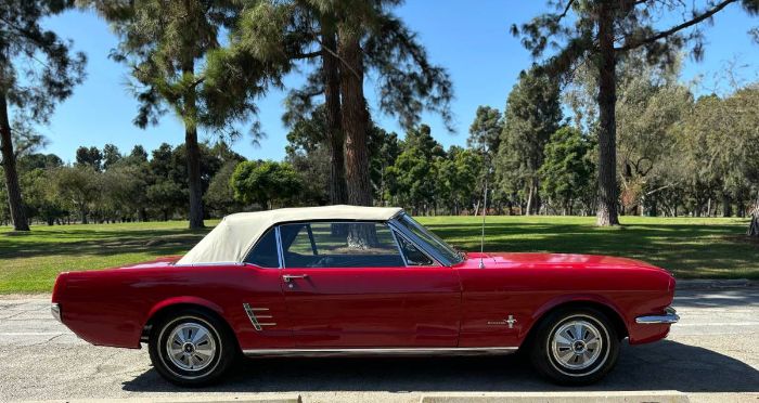 Unknown-Mustang-1966-Red-White-Top-Black-6