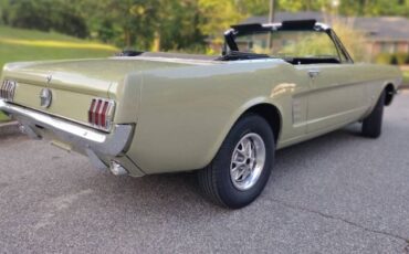 Unknown-Mustang-1966-Sauterne-Gold-Black-4