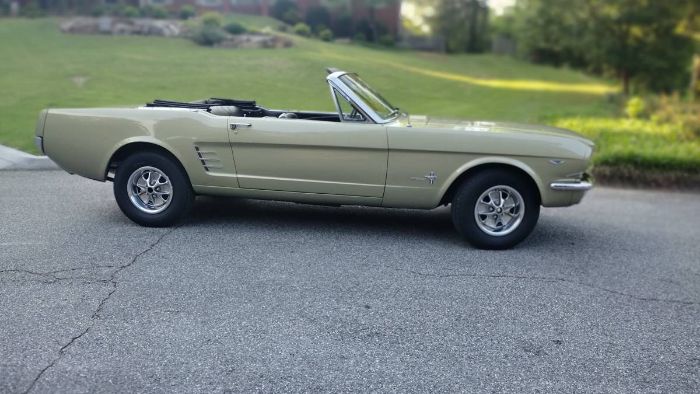 Unknown-Mustang-1966-Sauterne-Gold-Black