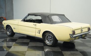 Unknown-Mustang-1966-Spring-Time-Yellow-Black-13