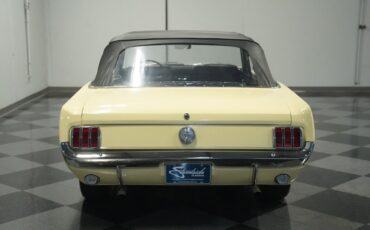 Unknown-Mustang-1966-Spring-Time-Yellow-Black-16