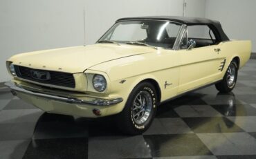 Unknown-Mustang-1966-Spring-Time-Yellow-Black-2