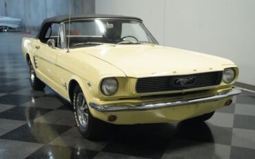 Unknown-Mustang-1966-Spring-Time-Yellow-Black-21