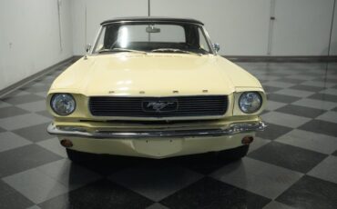 Unknown-Mustang-1966-Spring-Time-Yellow-Black-22