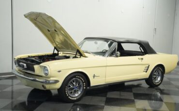 Unknown-Mustang-1966-Spring-Time-Yellow-Black-30