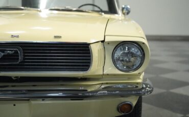 Unknown-Mustang-1966-Spring-Time-Yellow-Black-46