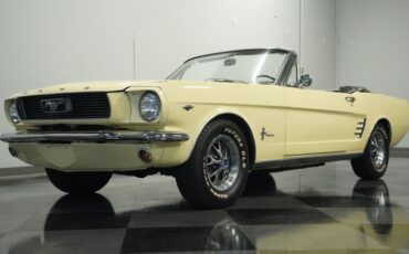 Unknown-Mustang-1966-Spring-Time-Yellow-Black-47
