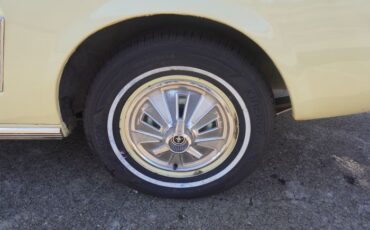 Unknown-Mustang-1966-Springtime-Yellow-Black-1