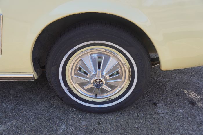 Unknown-Mustang-1966-Springtime-Yellow-Black-1