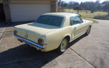 Unknown-Mustang-1966-Springtime-Yellow-Black-10
