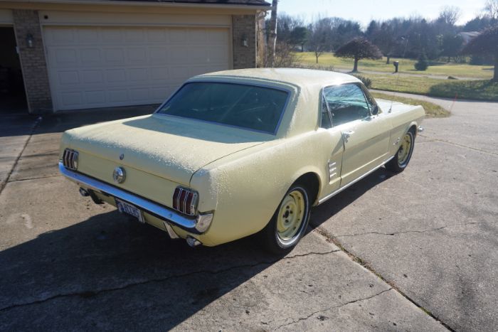 Unknown-Mustang-1966-Springtime-Yellow-Black-10