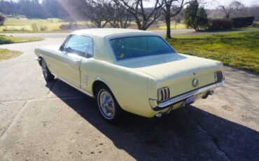 Unknown-Mustang-1966-Springtime-Yellow-Black-11