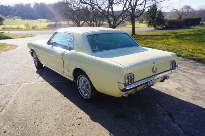 Unknown-Mustang-1966-Springtime-Yellow-Black-11