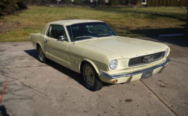 Unknown-Mustang-1966-Springtime-Yellow-Black-12