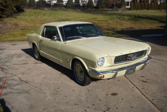 Unknown-Mustang-1966-Springtime-Yellow-Black-12