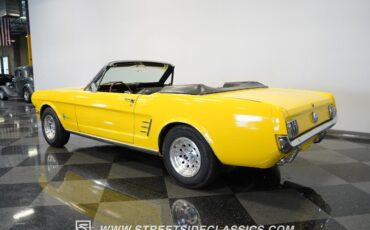 Unknown-Mustang-1966-Springtime-Yellow-Black-12